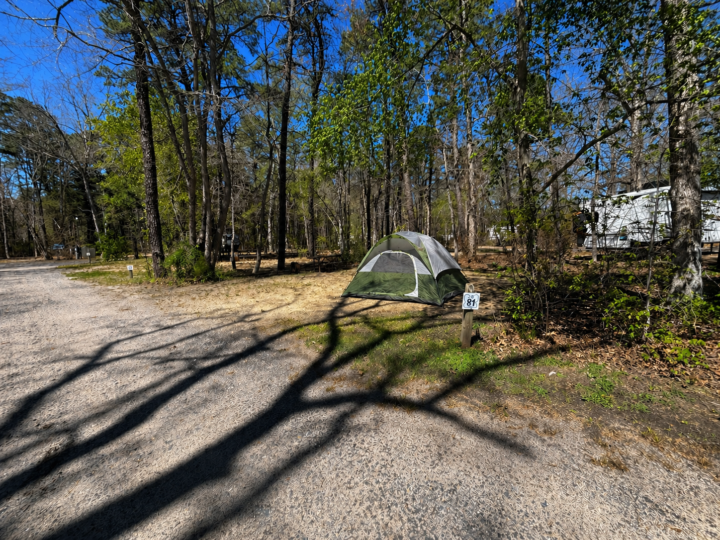 Tent Site 1